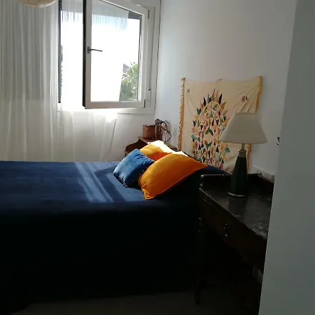 Casa Euphorbia