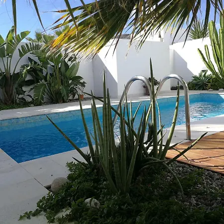 Casa Euphorbia
