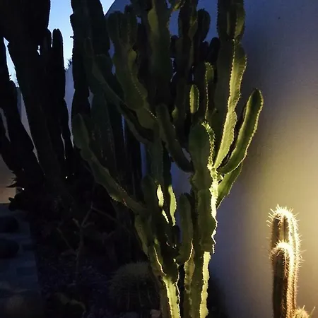 Casa Euphorbia Holiday home Las Negras